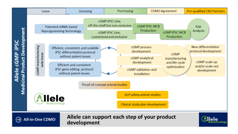 Introduction of Allele Cell Therapy CDMO