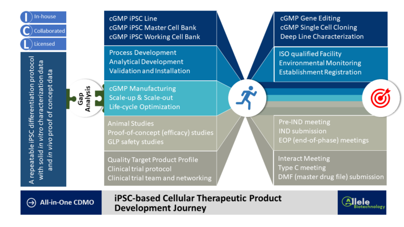 Introduction of Allele Cell Therapy CDMO