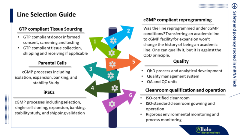 cGMP iPSC Line