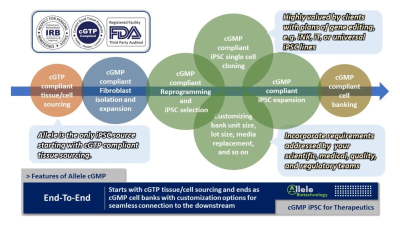 Custom cGMP iPSC Line Development