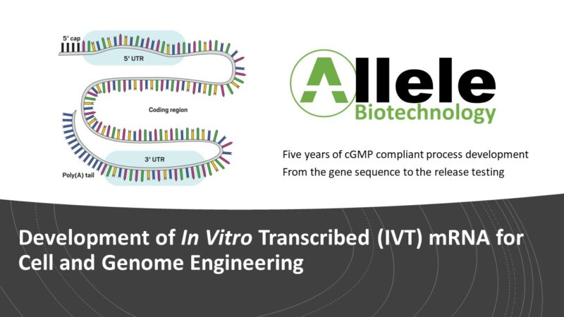 mRNA-02